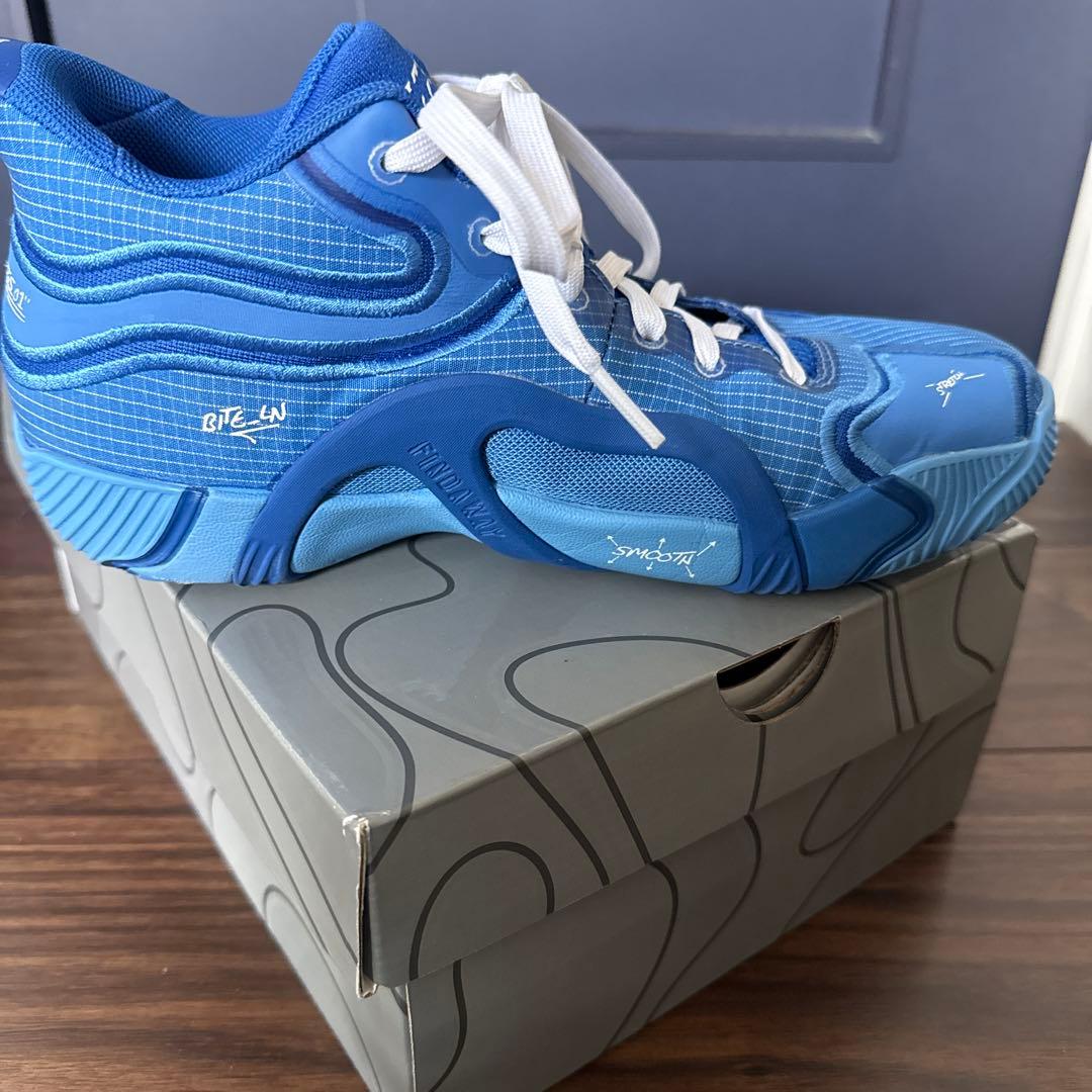 お値下げ　美品⭐︎NIKEジョーダン テイタム3 PFバスケシューズ 25.0