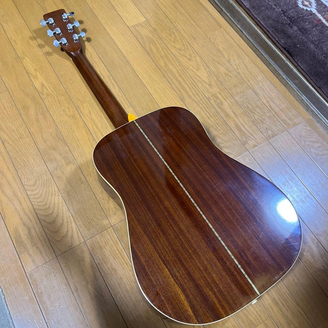 Morris W18 アコースティックギター