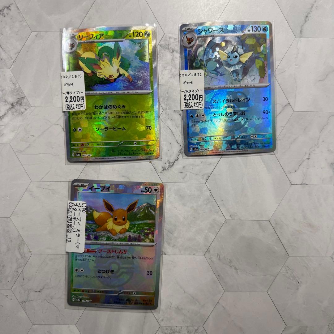 テラスタルフェス　ブイズ　マスターボールミラー