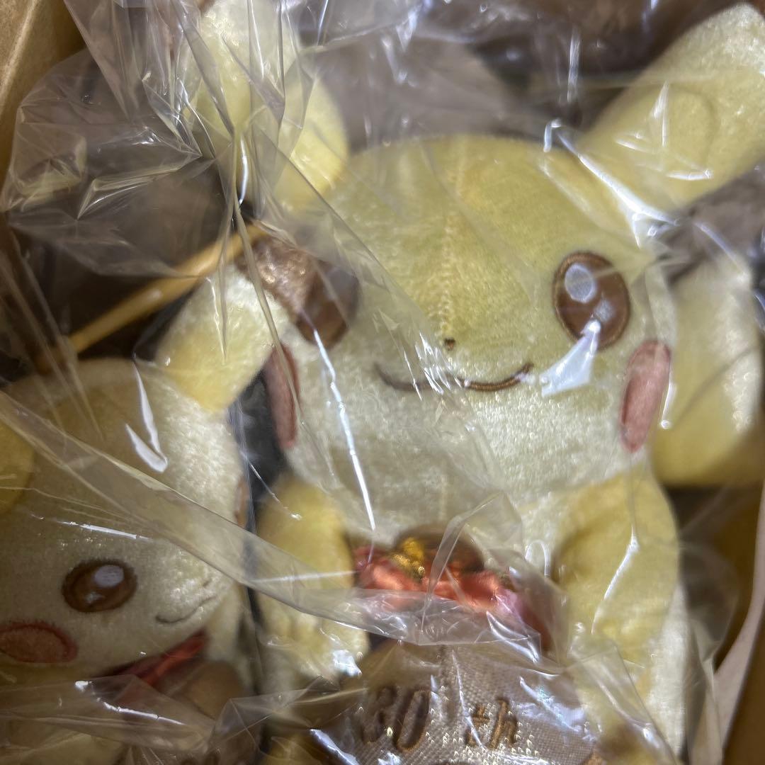 ポケモン 30周年記念 ぬいぐるみ マスコット セット ピカチュウ ポケセン