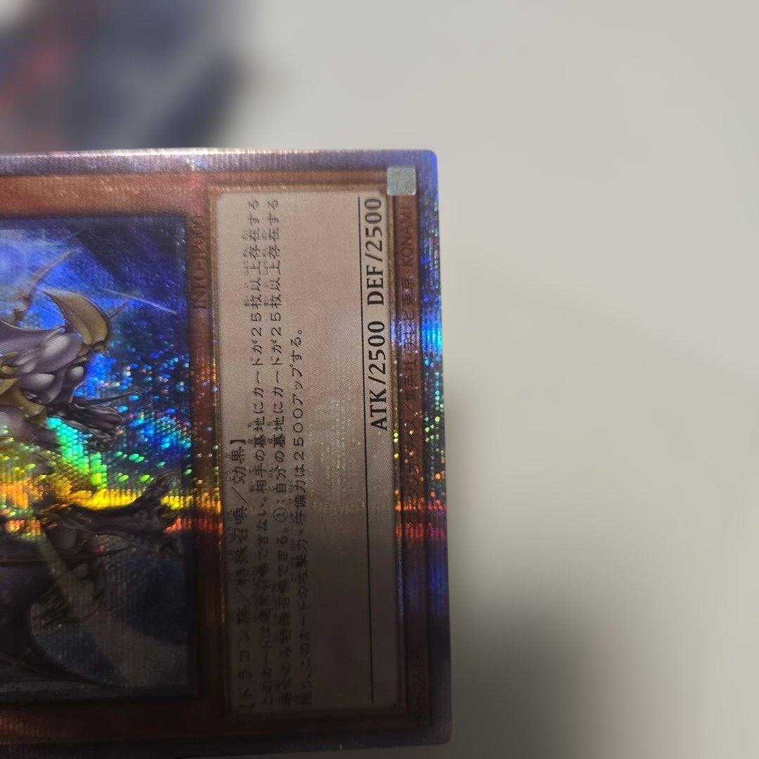 誇りと魂の竜　25th アジア　打痕 lnfo-jp000