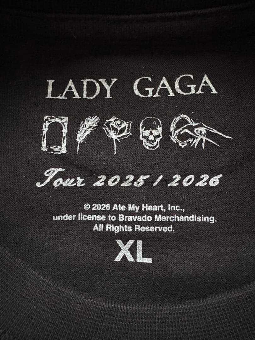 Y*！様 LADY GAGA MAYHEM BALL - DANCE OR DI
