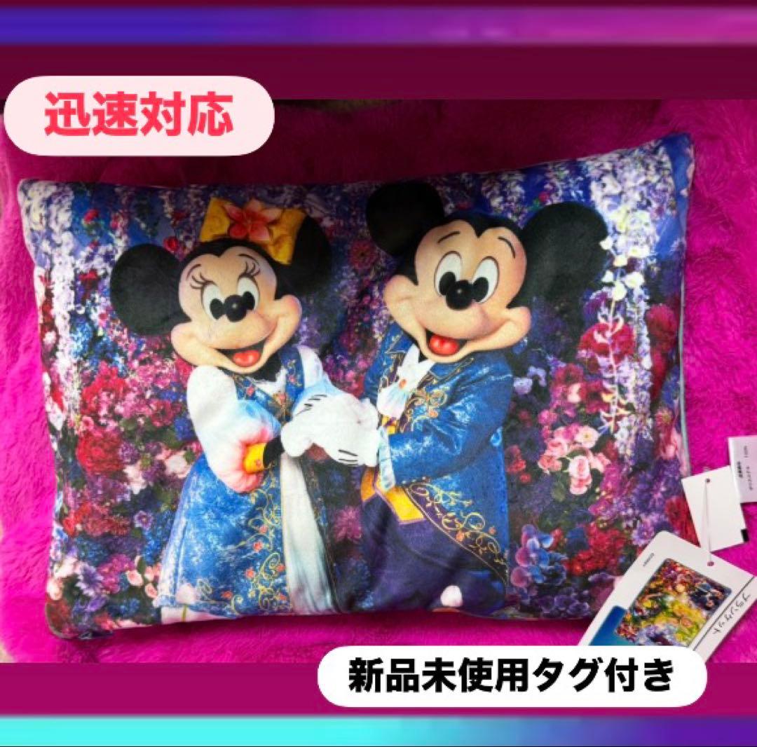 新品未使用♡ディズニーイマジニングザマジックブランケット