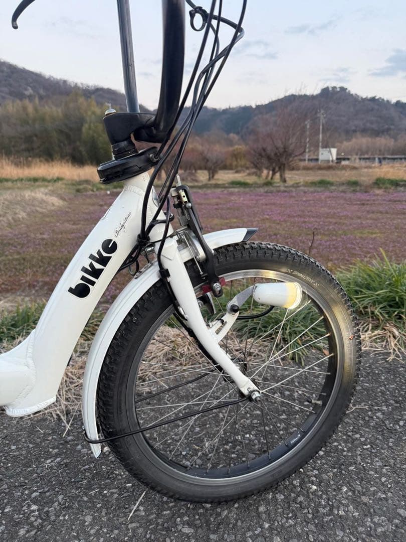 ホワイト 電動アシスト自転車 インチ
