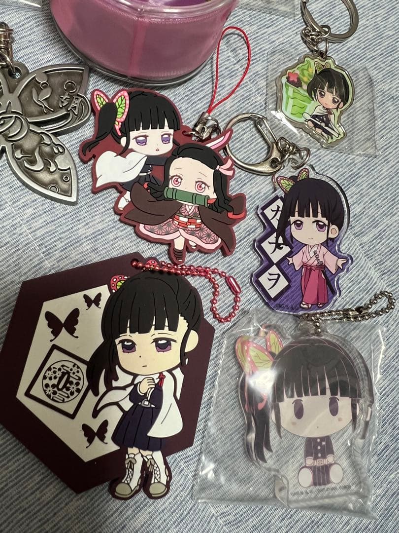 鬼滅の刃　胡蝶しのぶ＆栗花落カナヲ　キャラクターグッズセット