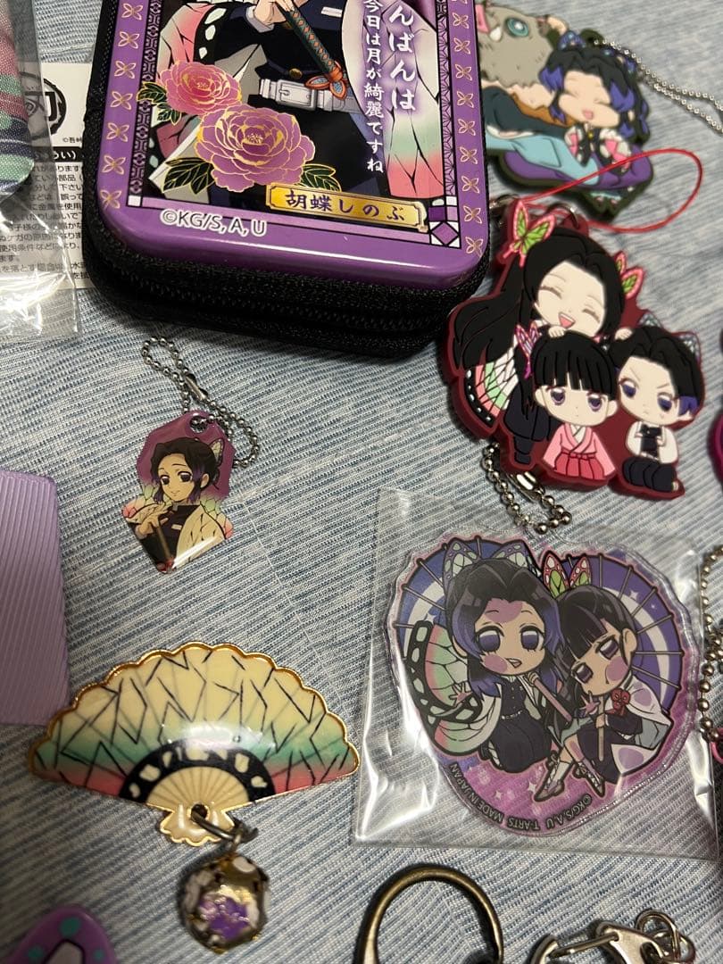鬼滅の刃　胡蝶しのぶ＆栗花落カナヲ　キャラクターグッズセット