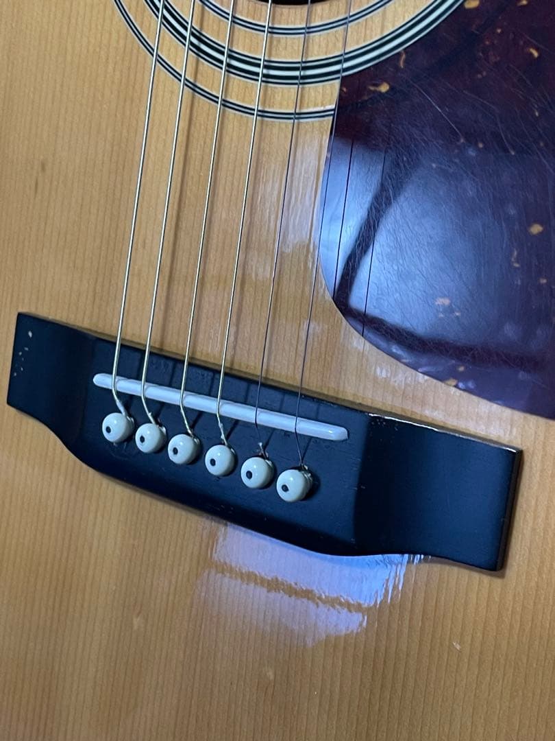 Morris MF-251N ヴィンテージ 80年代 美品
