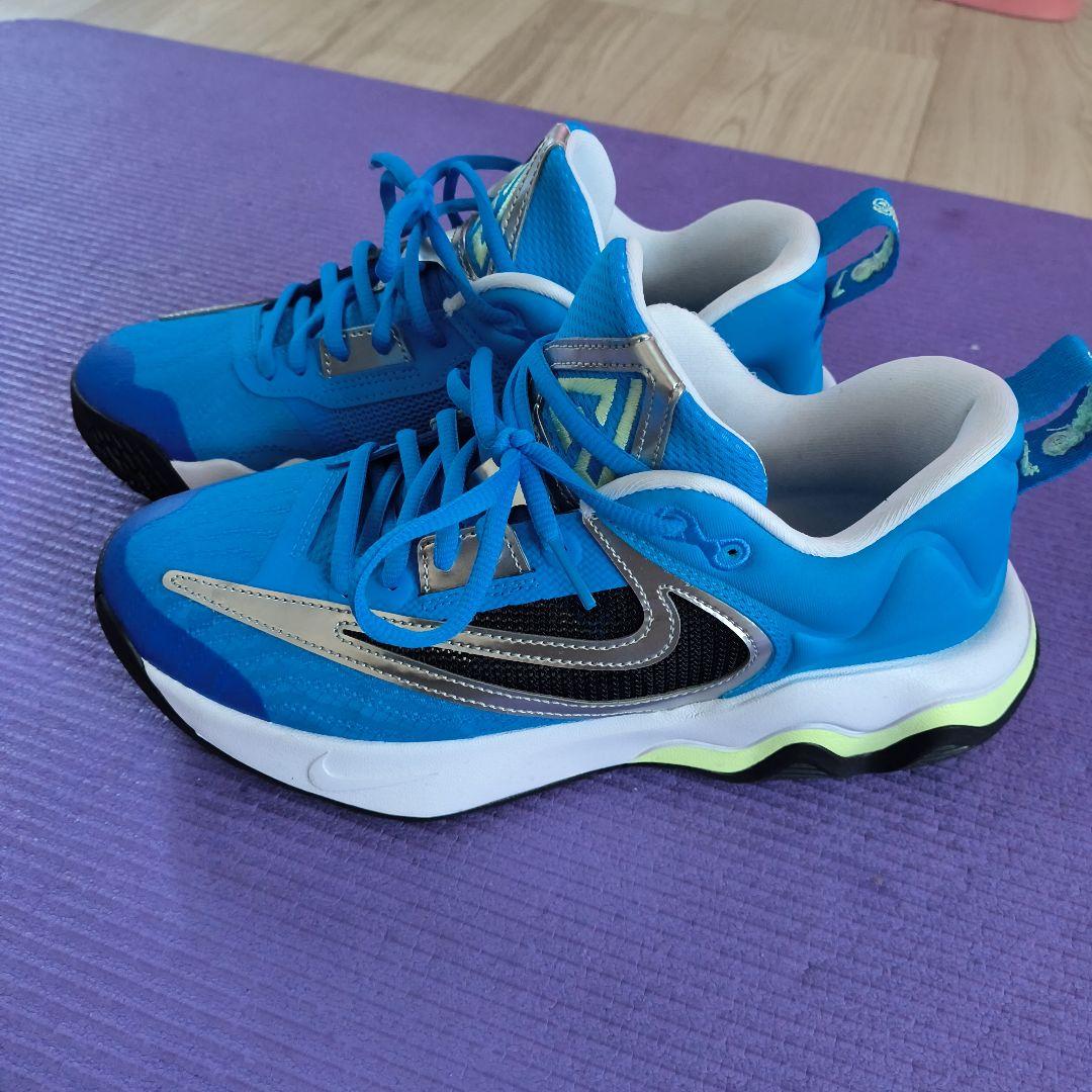 Nike　ズームフリーク