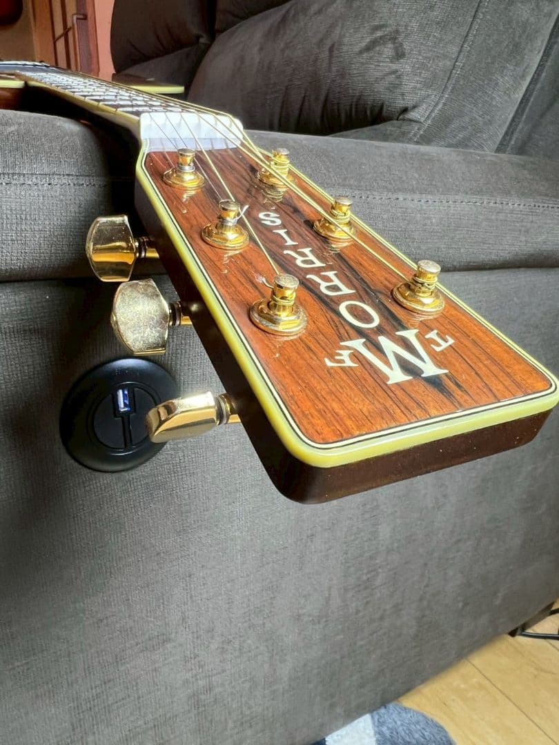 【絶品】Morris TF-50【極上品】牛骨サドル、ナット まるで新品です♥