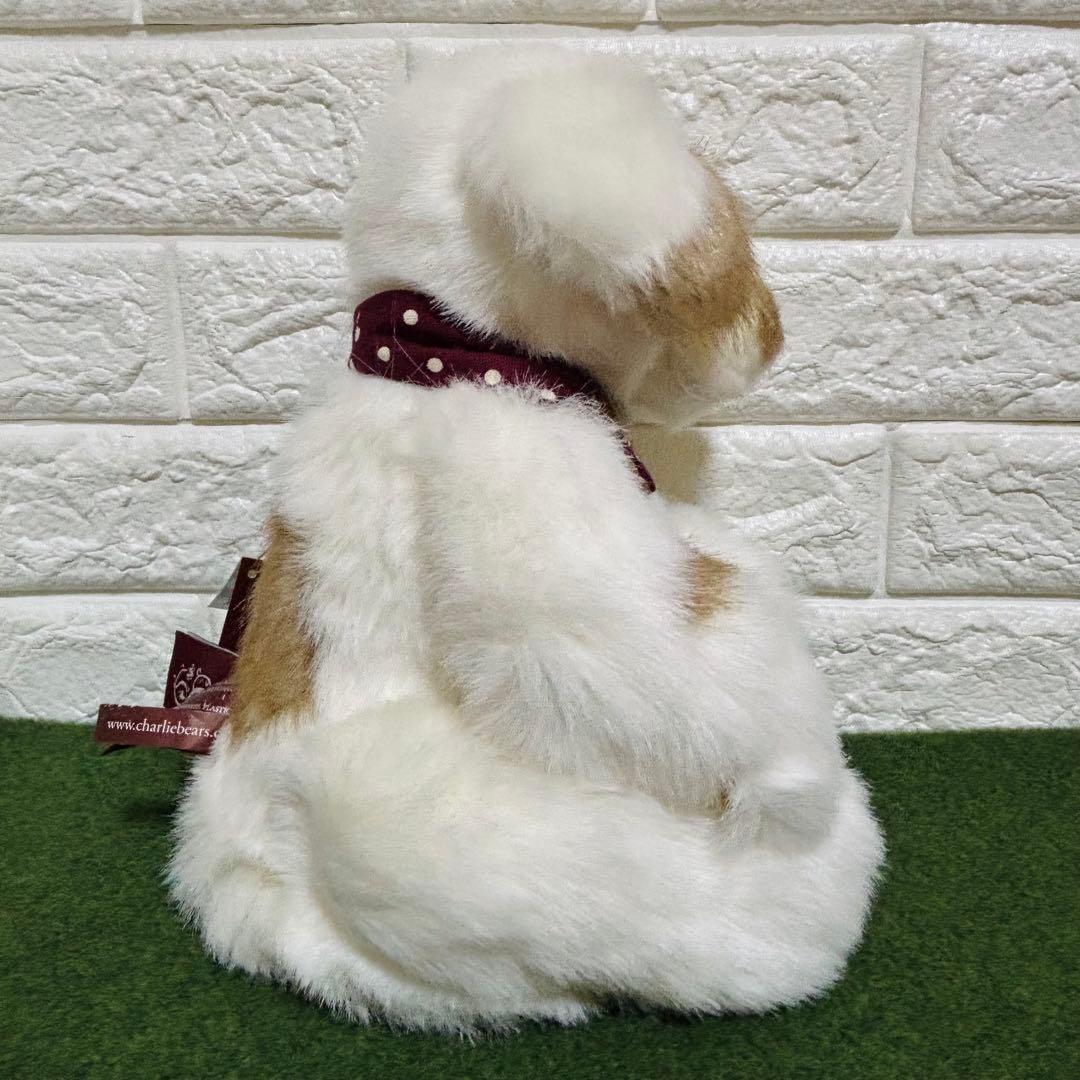 チャーリーベアーズ　ピグレット　charliebears 犬