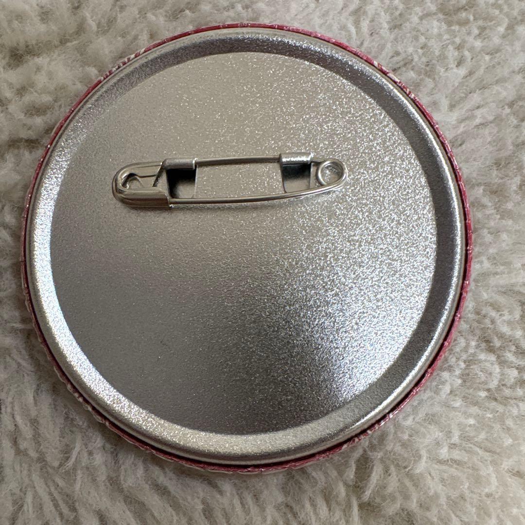 天官賜福 貮 くじメイト 缶バッジ 謝憐