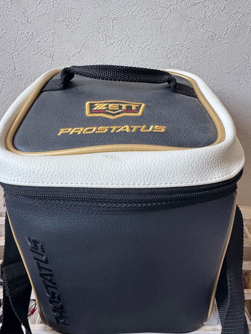 ZETT PROSTATUS 野球グローブ 黒ケース付