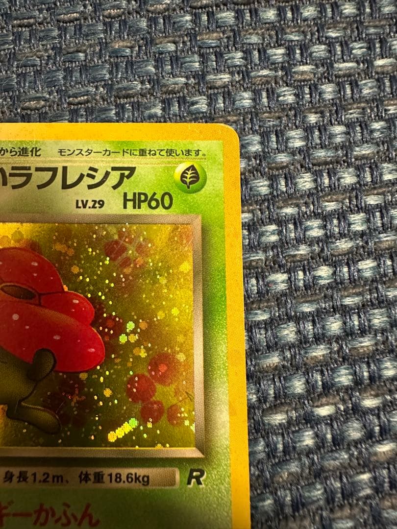 わるいラフレシア 旧裏