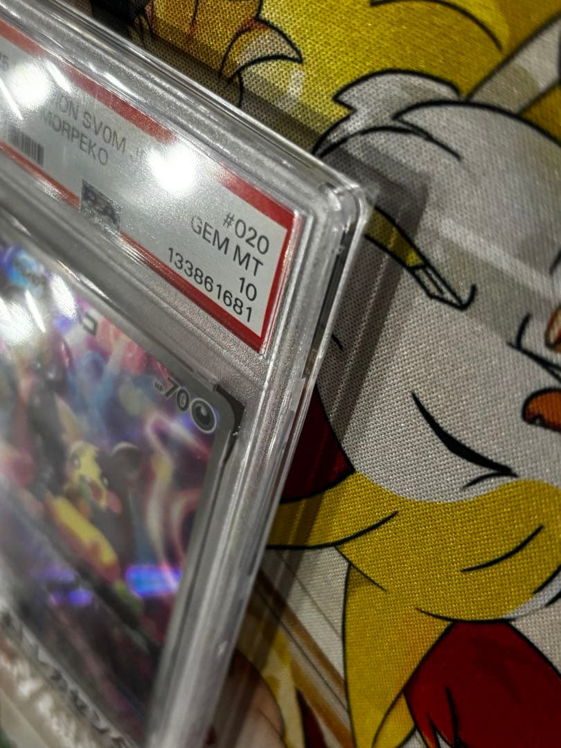 【PSA10】マリィのモルペコ020/019 即購入OK！