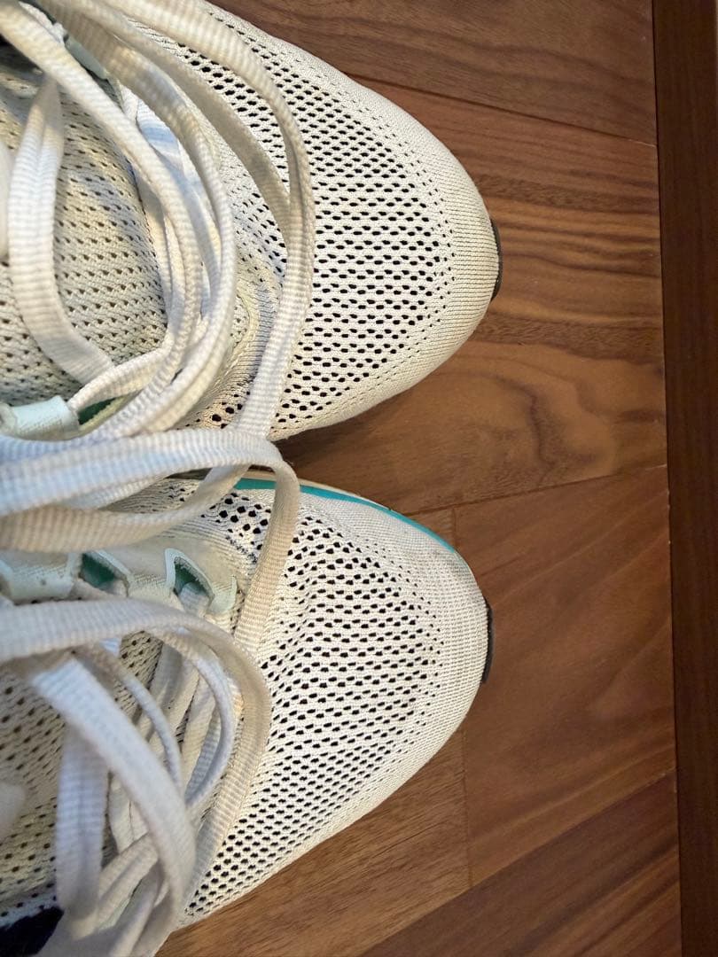 スパイク・シューズ nike Pegasus41