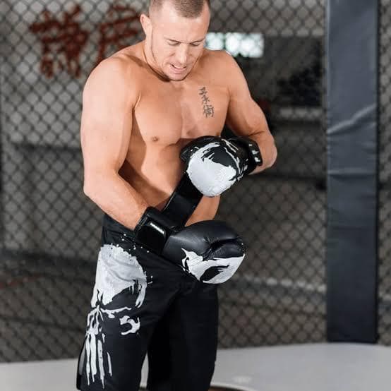 PUNISHER MARVEL Hayabusa MMA ボクシンググローブ