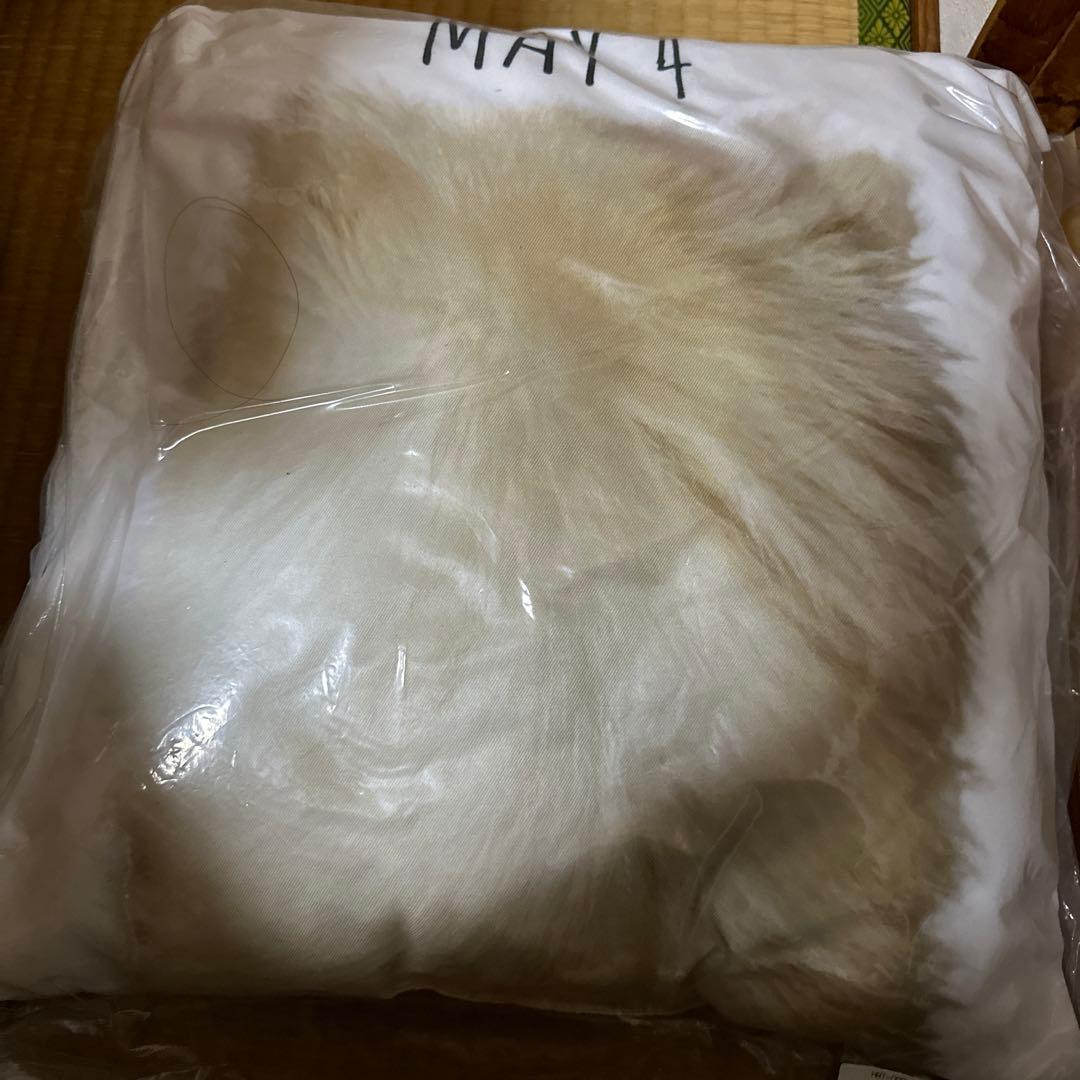 アリス九號.