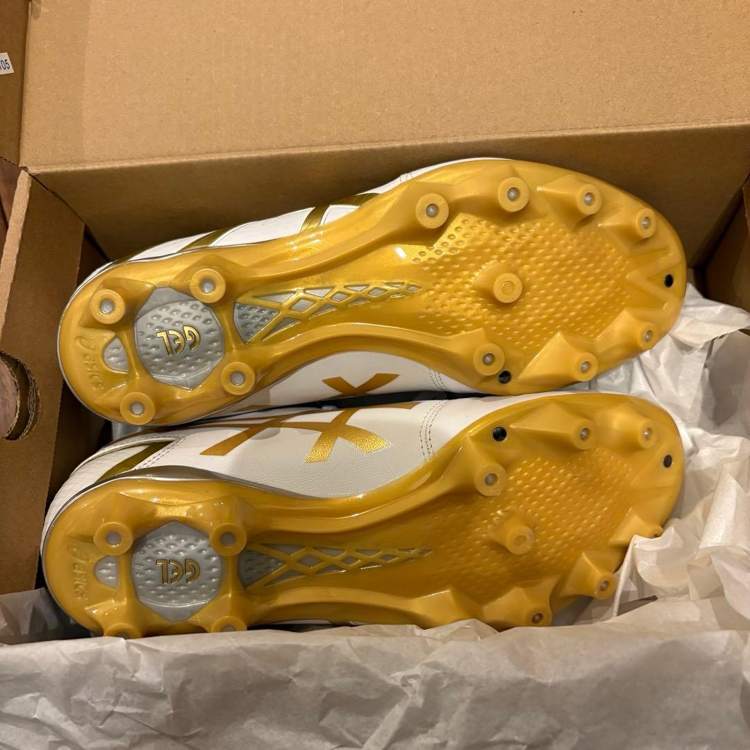 asics DS LIGHT 24.5㎝
