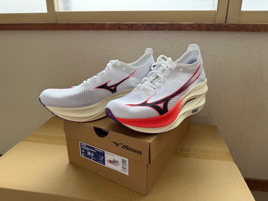 MIZUNO／WAVE REBELLION PRO 3 （28.5cm）