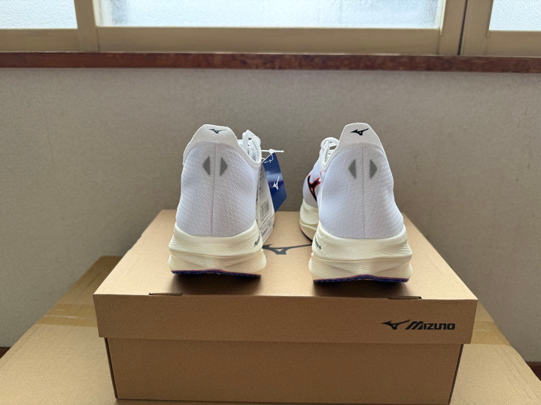 MIZUNO／WAVE REBELLION PRO 3 （28.5cm）