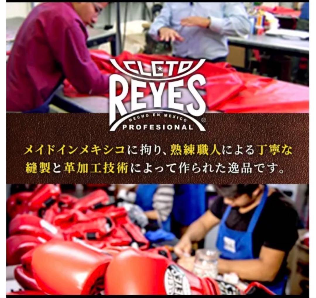 レイジェス(reyes) スパーリング用グローブ 14オンス