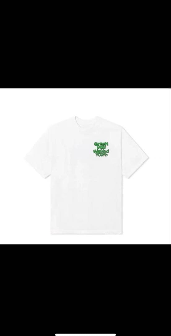 GREEN DAY x WASTED YOUTH Collab TシャツXL