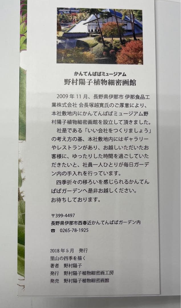 野村陽子　絵葉書集 里山の四季を描く