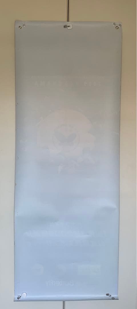 非売品 世界卓球 2009 横浜 バタフライ 特大 タペストリー　水谷隼