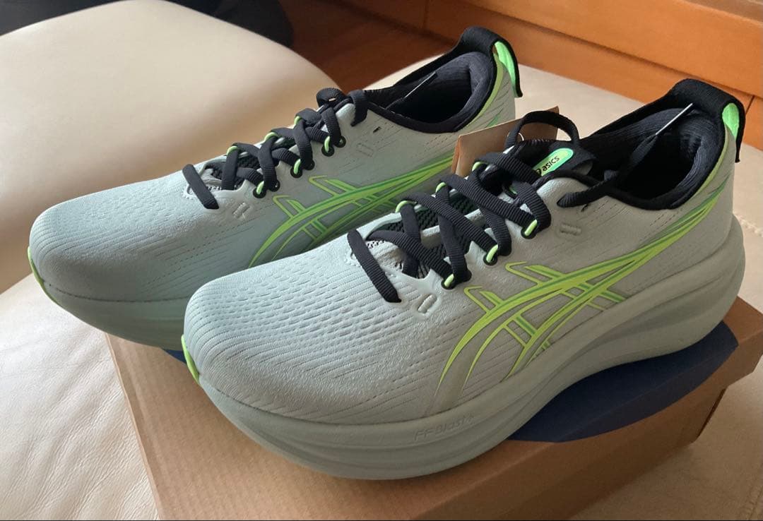 アシックス GEL-NIMBUS 28 25.0㎝