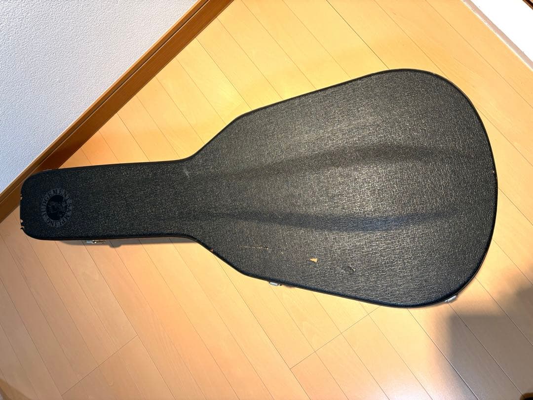 ギター Martin D-21LE MOD
