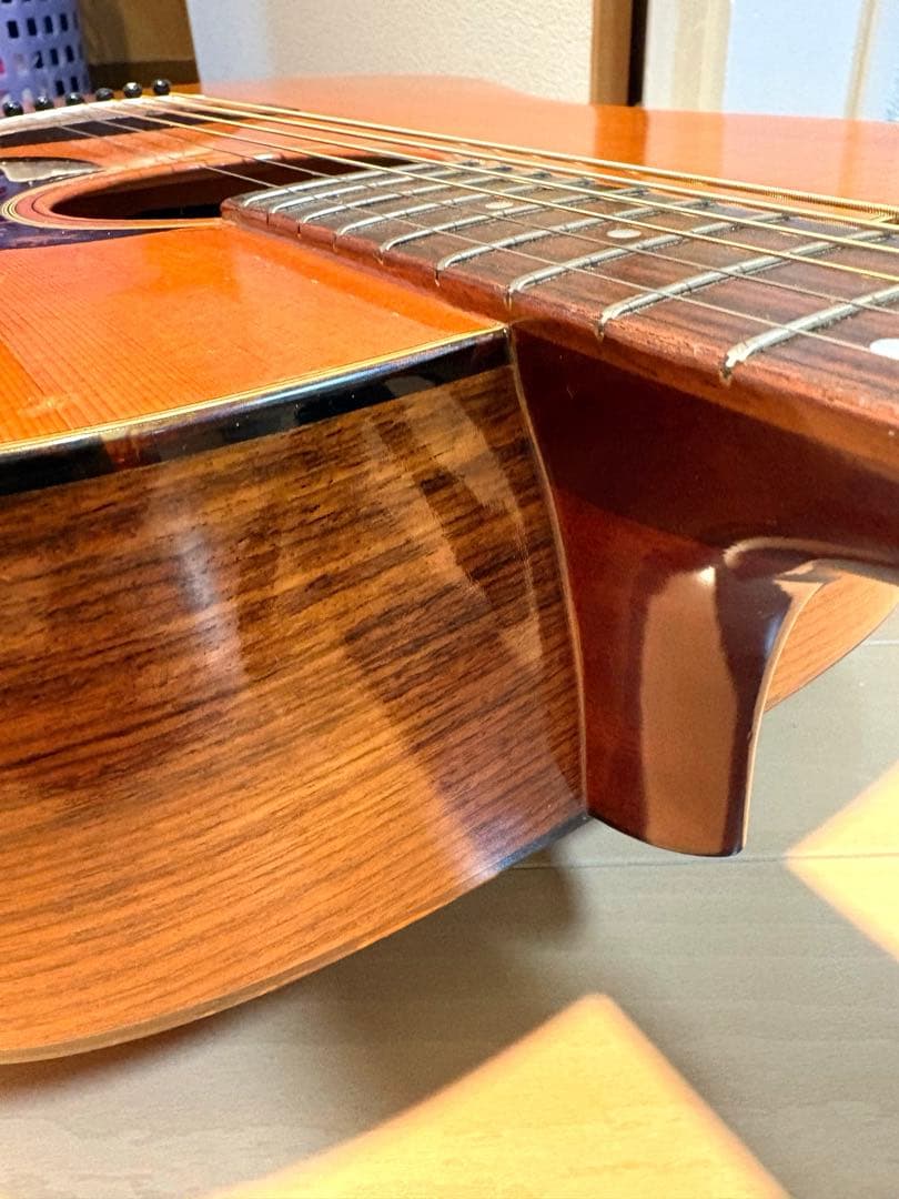 ギター Martin D-21LE MOD