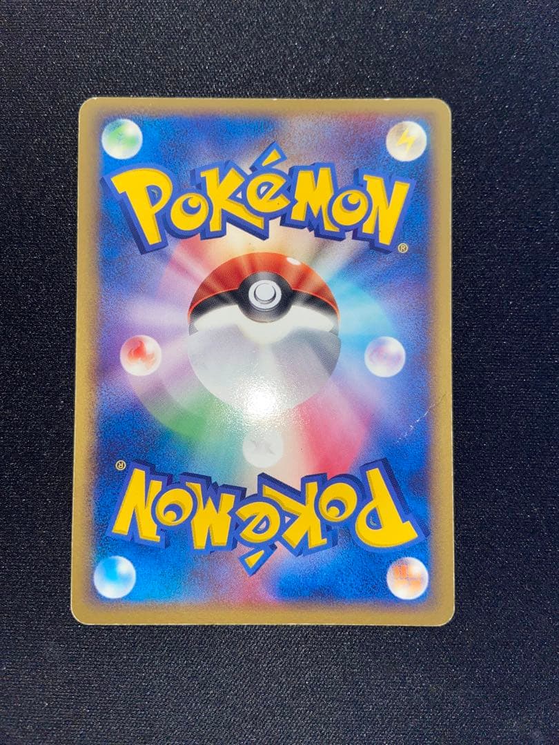 ポケモンカードゲーム ポケパーク プレミアムファイル　ブルーシート
