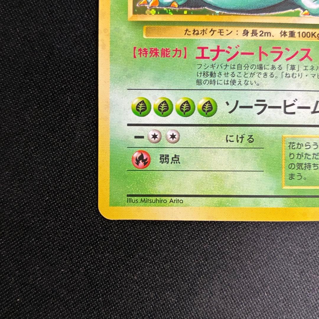 美品 フシギバナ 旧裏 渦巻きホロ