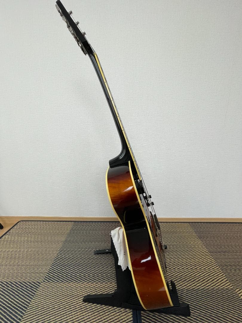 Loar LH-650-VS（改）