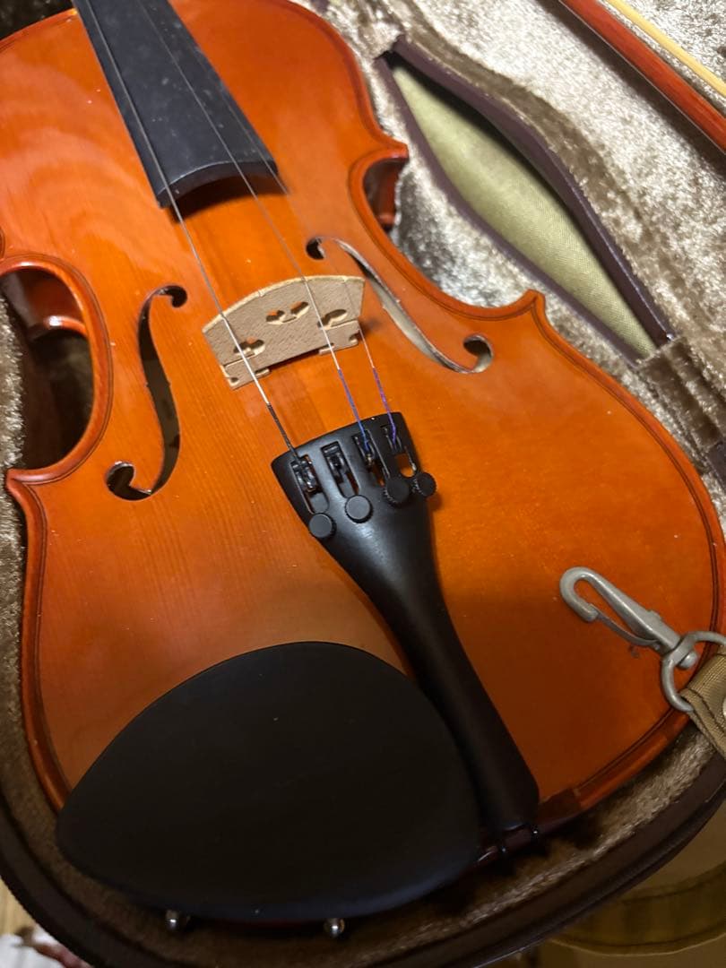 carlo giordano violin バイオリン