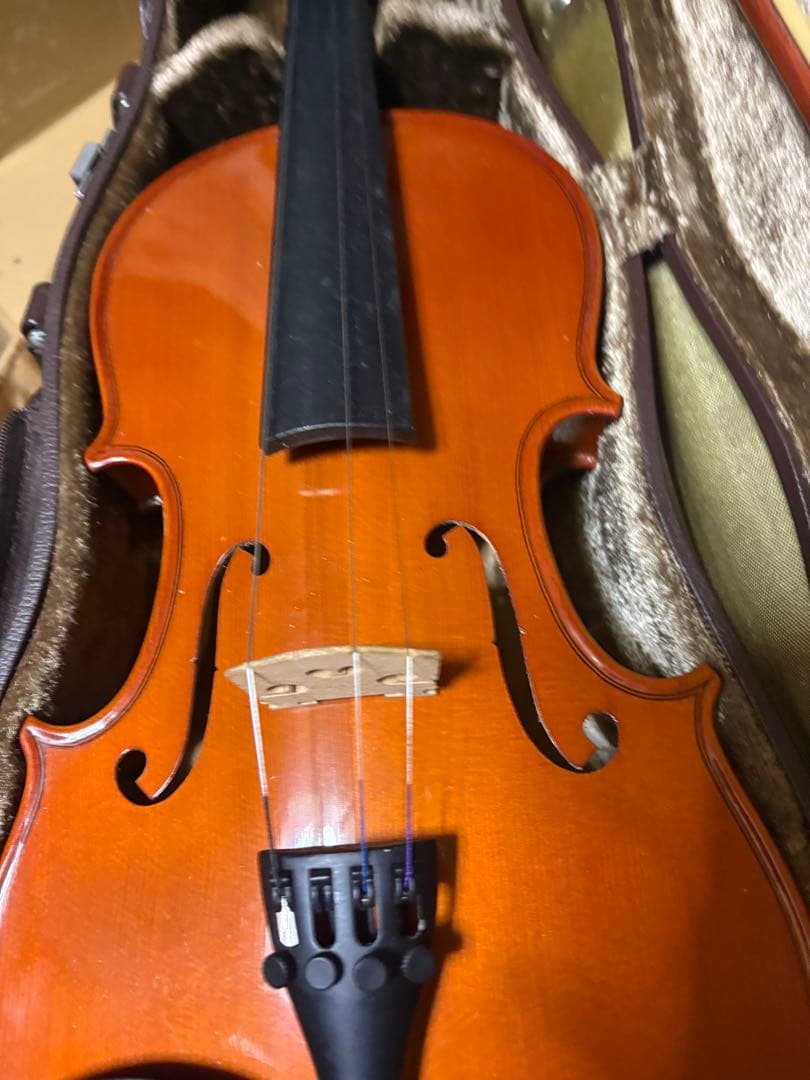 carlo giordano violin バイオリン