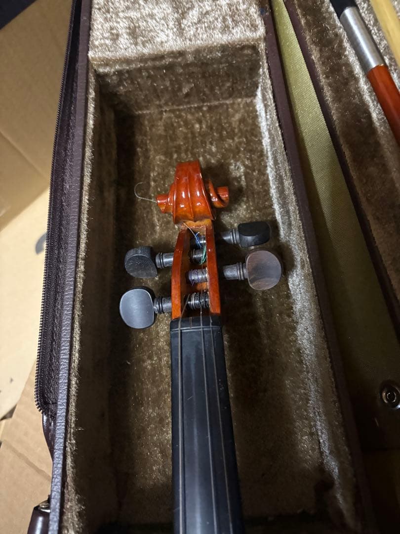carlo giordano violin バイオリン