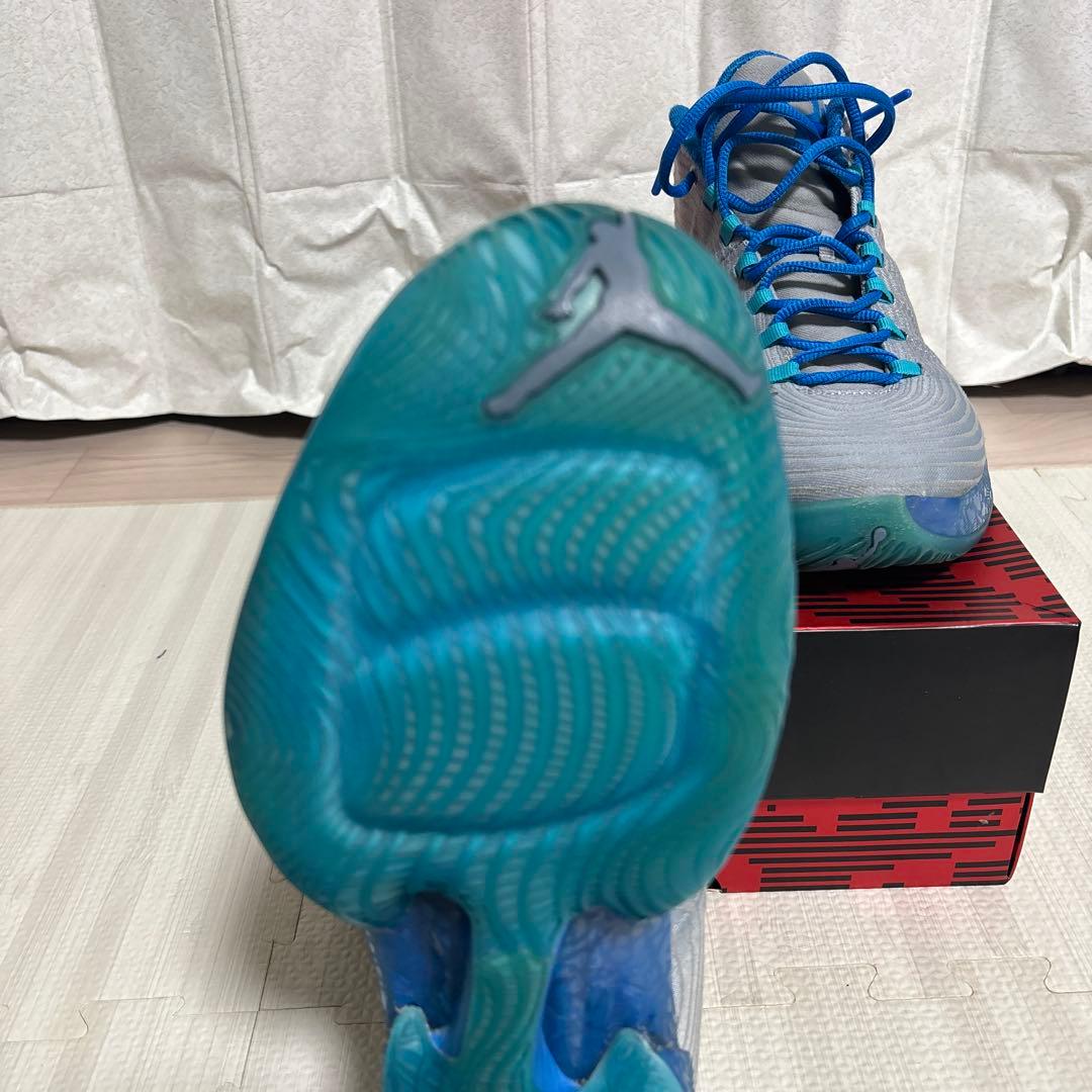 シューズ(男性用) Air Jordan XX9 play off pack/28.0