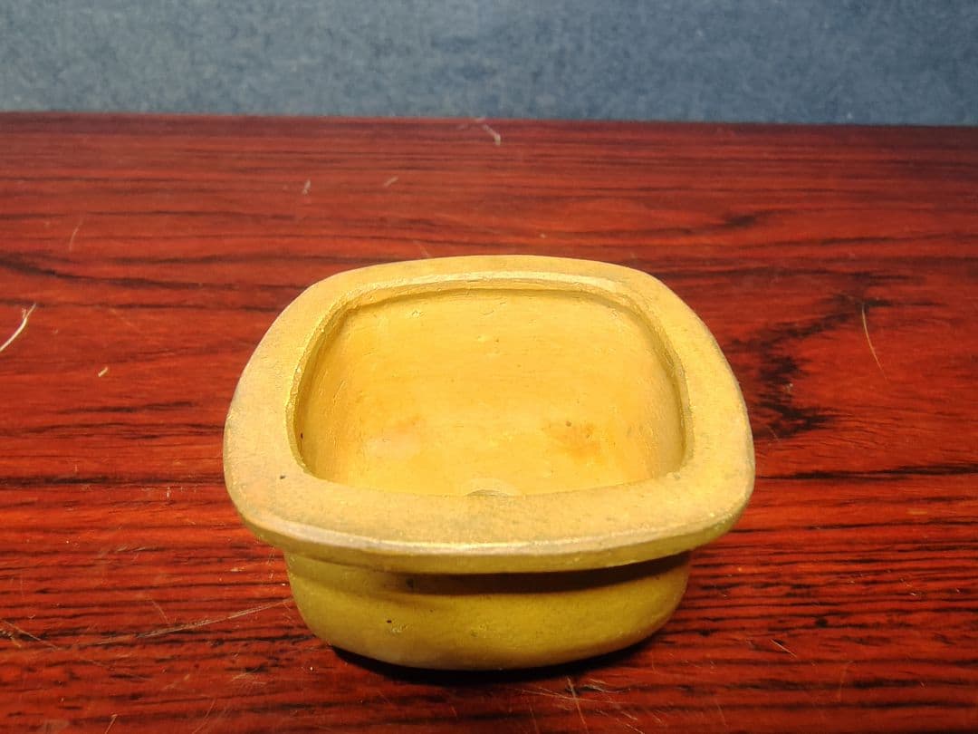 盆栽小鉢　　【和雀】　　希少品　　早い者勝ち