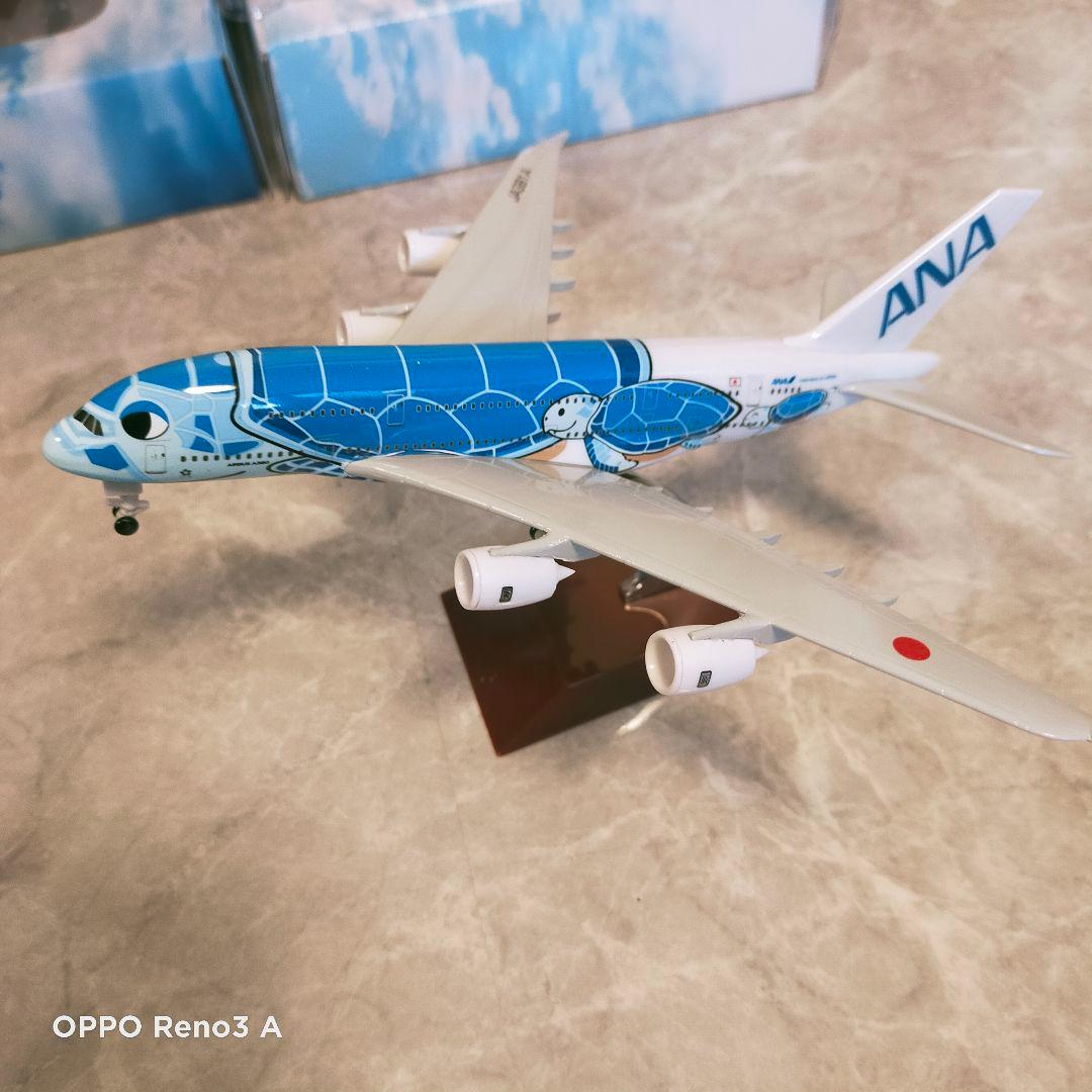 フライングホヌ✕3色セット ／a380 20cm