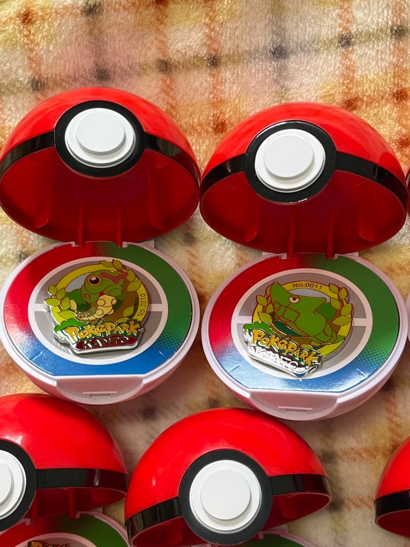 ポケパークカントー　ピンズ　13個セット