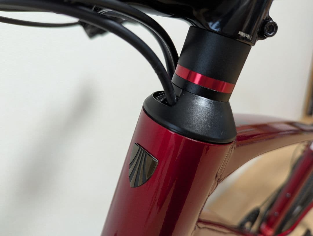 TREK トレック　Dual Sport 3 Gen 5　フレームサイズM