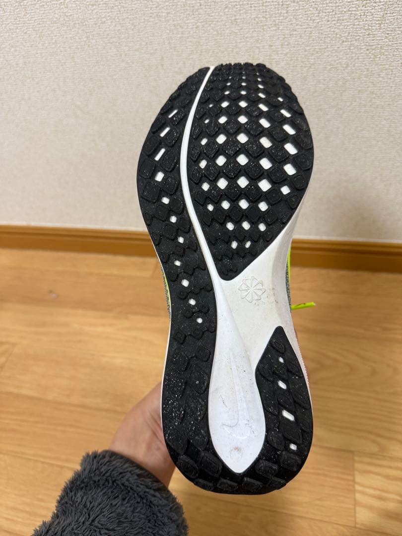 Nike ペガサス41 27cm
