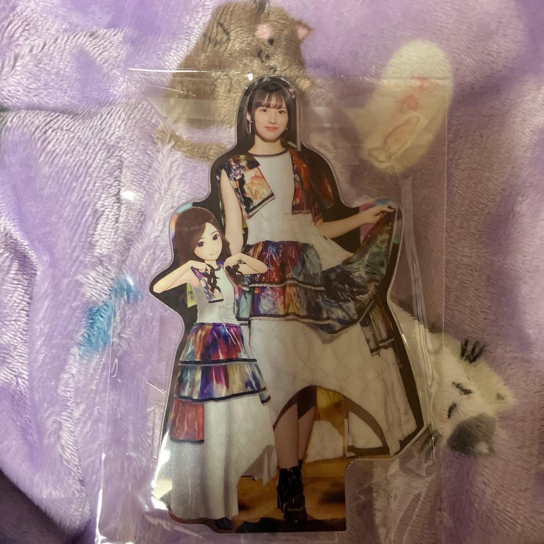 掛橋沙耶香　乃木フラセット