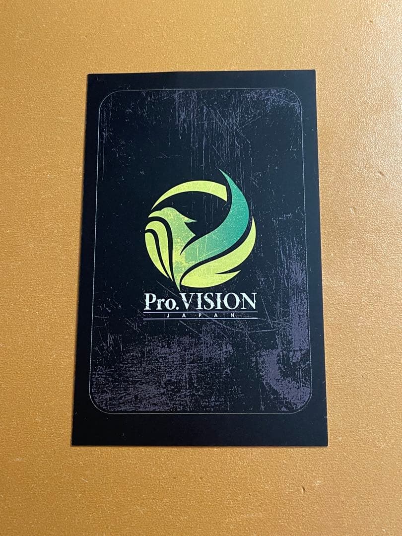 Pro.VISION JAPAN　Stille　2BA　砂川大選手モデル