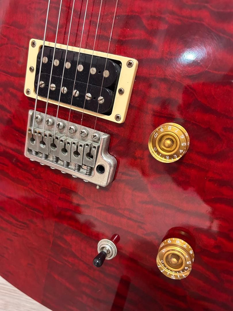 PRS SE Custom24 人気カラー 韓国製 即購入OK ソフトケース付き
