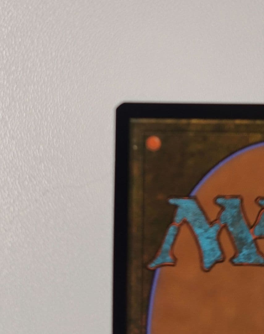 MTG 魔力の墓所 ダブルマスターズ 拡張アート foil