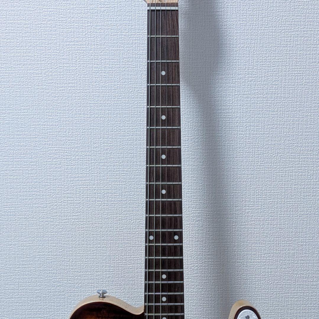 ギター Michael Kelly Hybrid 55 Tiger Eye Burst