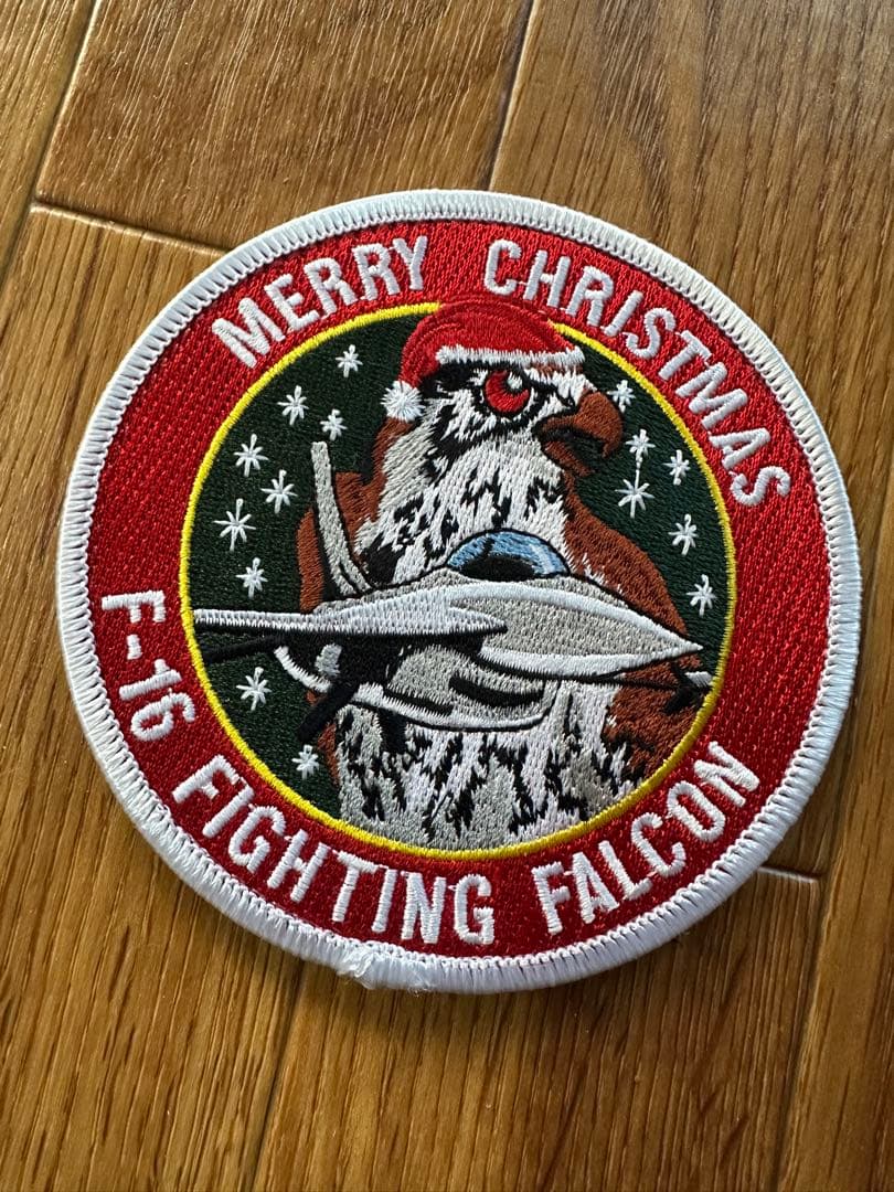その他 USAF 195th FS WARHAWKS