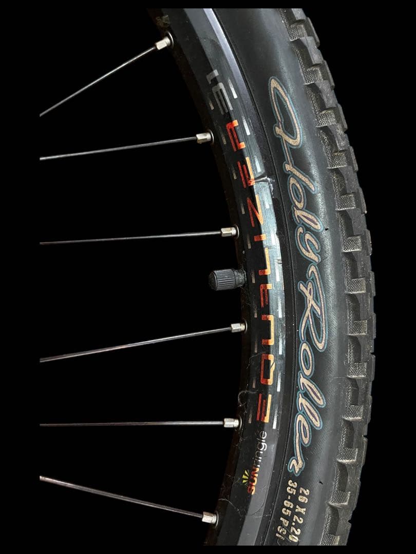 ⭐️マウンテンバイク⭐️ホイールDT SWISS 420L ⭐️タイヤMAXXIS